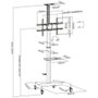 Aisens Soporte de Suelo ECO FT70TE-169 con Ruedas y Manivela para TV 37-70 pulg.